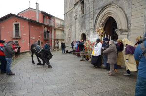Festa di Sant'Antonio Abate a Novara di Sicilia - Benedizione degli animali